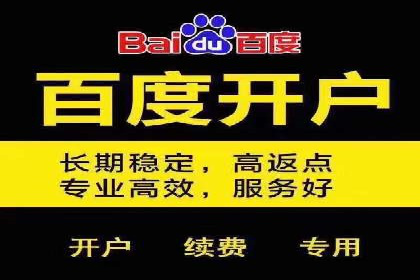 某科技公司SEM优化实践：从数据看效果提升
